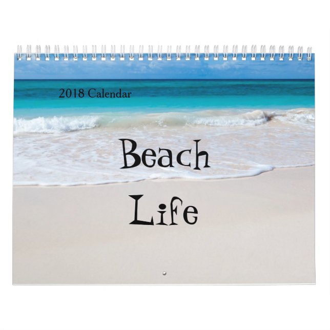 2018 Twelve Month Calendar -Various Beach Scenes (Cover)