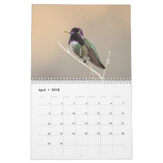 2018 Wild Bird Calendar