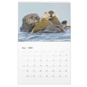 2018 Wildlife Wall Calendar - Into the Wild