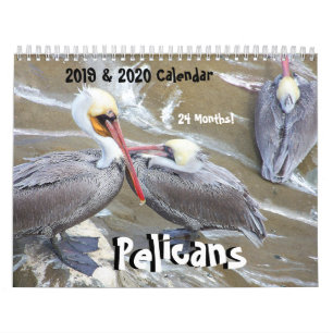 2019 2020 Pelican Bird Wildlife Animals Calendar