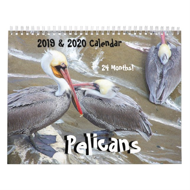 2019 2020 Pelican Bird Wildlife Animals Calendar (Cover)