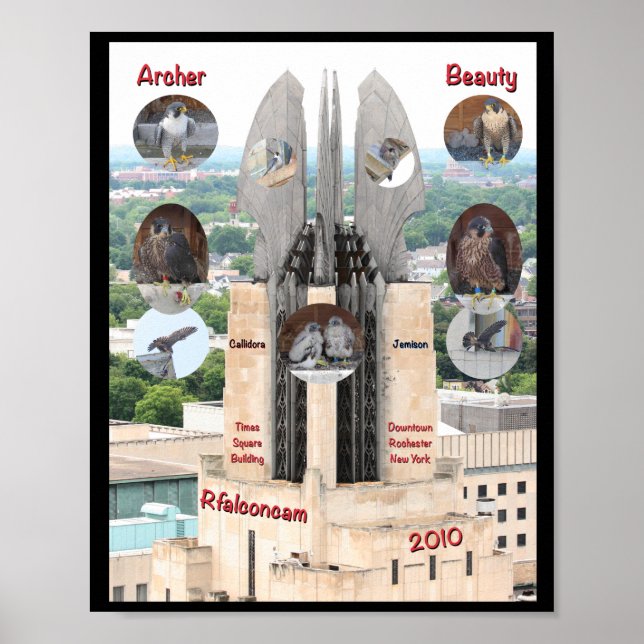 2019 Beauty and Archer 8x10 Poster at Times Square (Front)