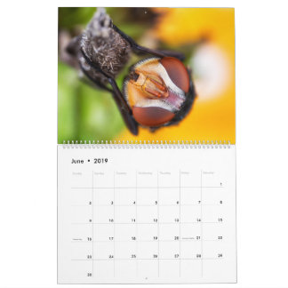 2019 Bug Eyed Beauties Macro Photography Calendar