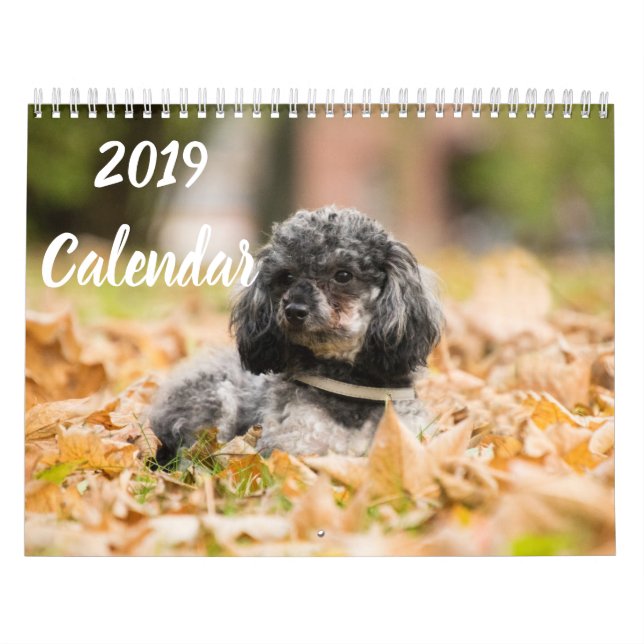 2019 Calendar Cute Poodle Dog Images (Cover)
