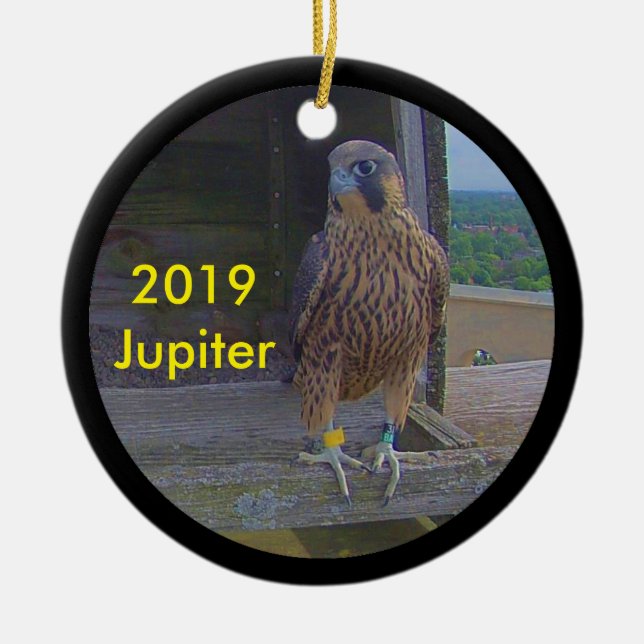 2019 Ceramic Ornament Jupiter (Front)
