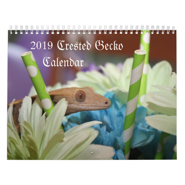 2019 Crested Gecko Calendar (Cover)