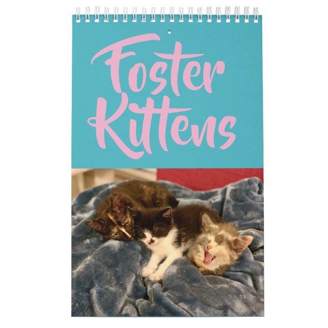 2019 Foster Kitten Calendar (Cover)