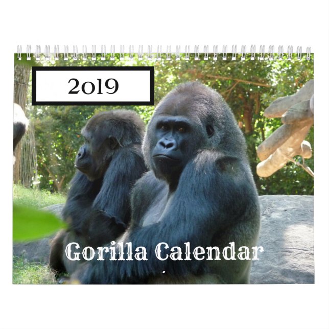 2019 Gorilla Calendar (Cover)