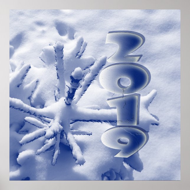 2019 in the new snow poster (Front)