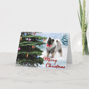 2019 Keeshond Collectors Christmas Card