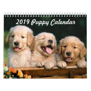 2019 Puppy Calendar
