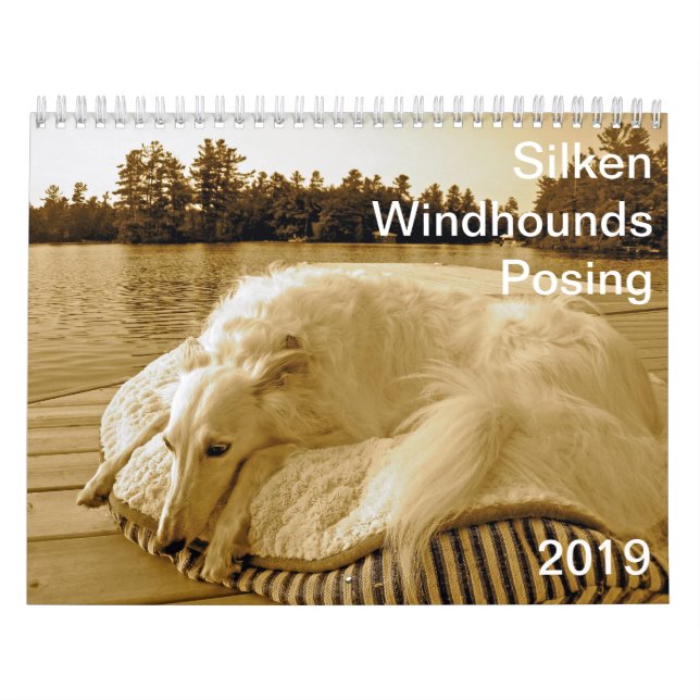 2019 Silken Windhounds Posing Calendar (Cover)