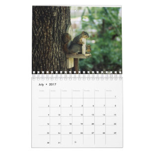 2019 Squirrel Calendar