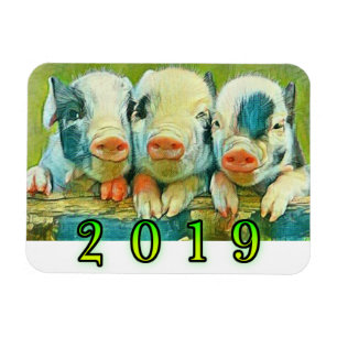2019 Year of the Pig Magnet