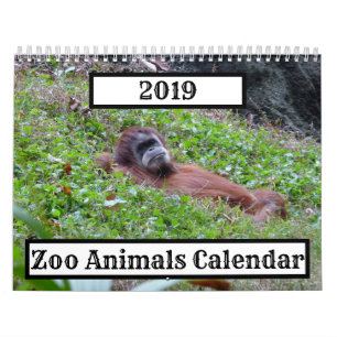 2019 Zoo Animals Calendar