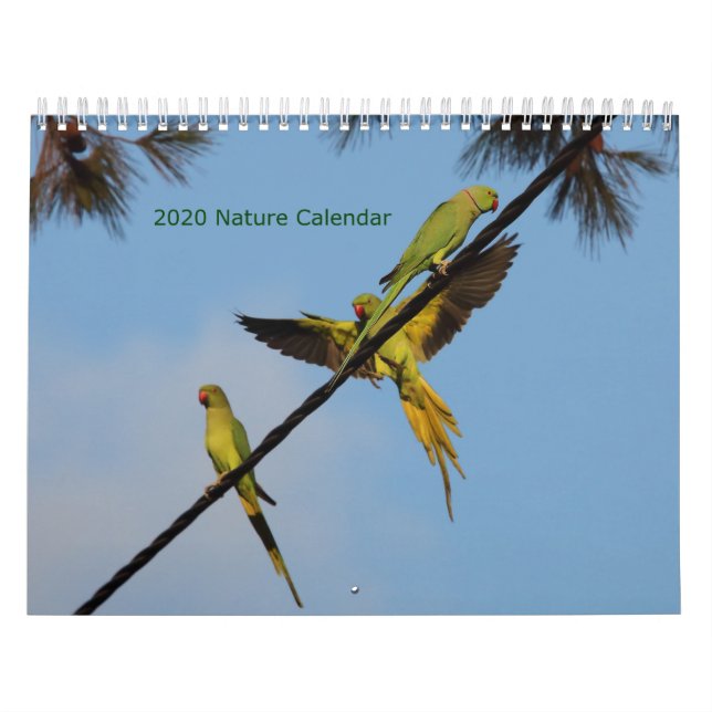 2020 Birds & Flowers Calendar (Cover)