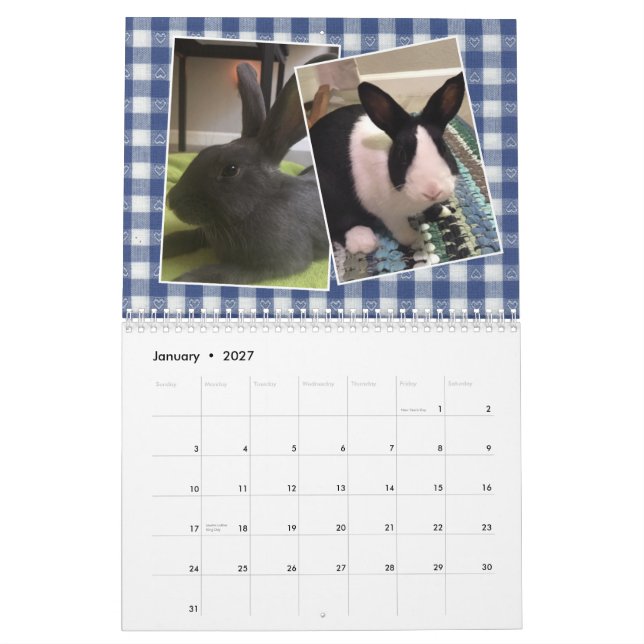 2020 Bunny Rescue & Education Calendar (Jan 2027)
