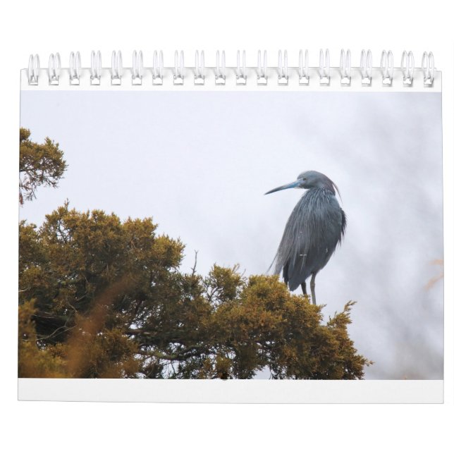 2020 Calendar (Back)