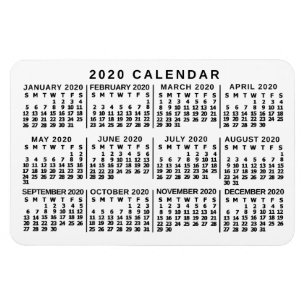 2020 Calendar (See Description for New Version)  Magnet