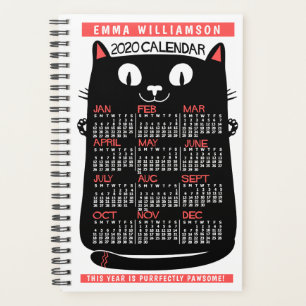 2020 Calendar (See Description for New Version) Planner