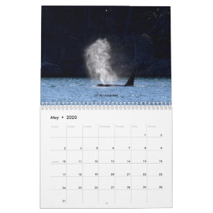 2020 Calendar Southern Resident Killer Whales