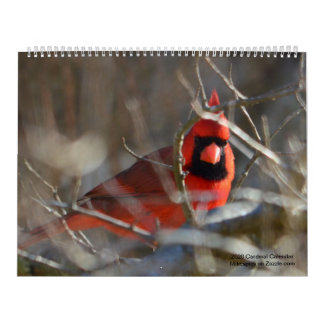 2020 Cardinal calendar
