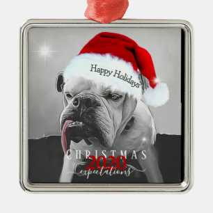 2020 Christmas expectations, Huey in Santa hat. Metal Ornament