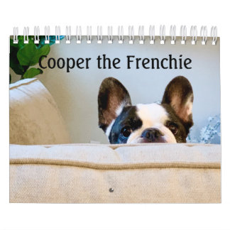 2020 French Bulldog Calendar - Cooper the Frenchie