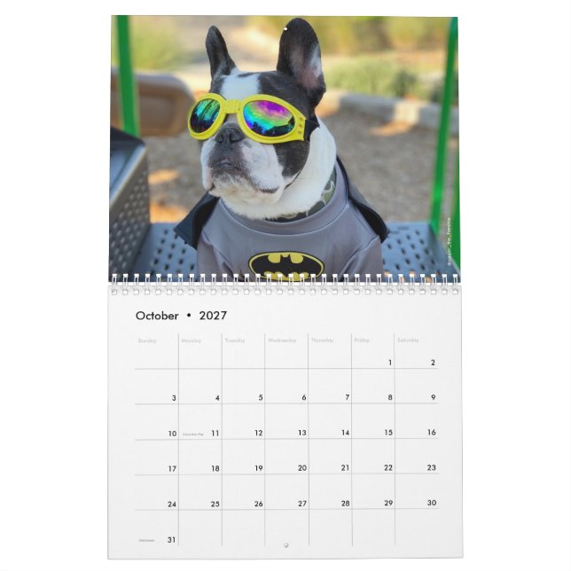 2020 French Bulldog Calendar for Dog Lovers! (Oct 2027)