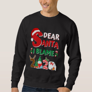2020 Funny Christmas Kids Adults Santa I Blame 20 Sweatshirt