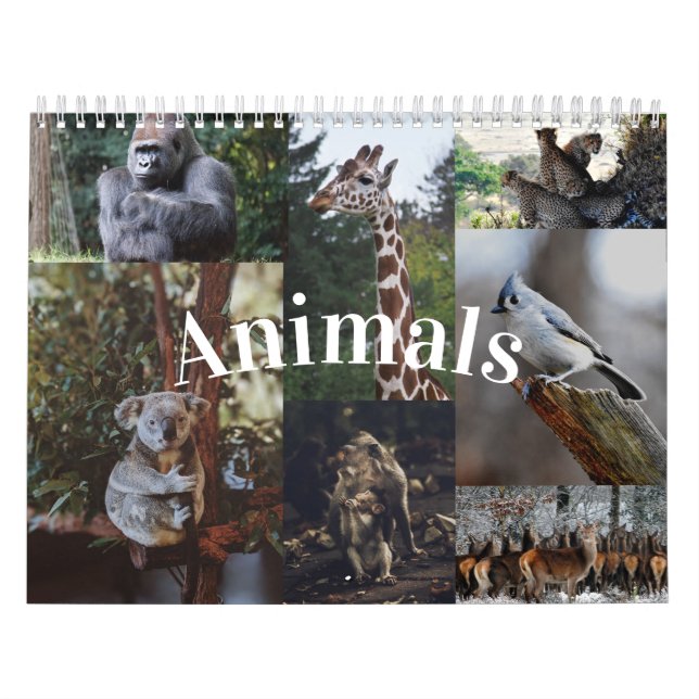 2020 Home/Office Wall Calendar Animal Calendar (Cover)