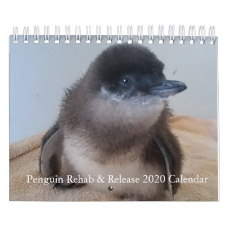 2020 Little Penguin Calendar