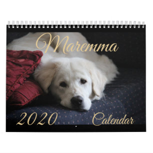 2020 Maremma Calendar