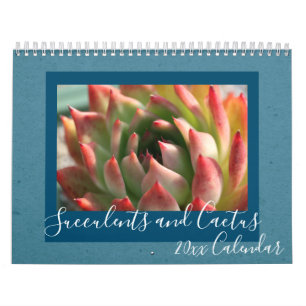 2020 Modern Script Succulents and Cactus Calendar