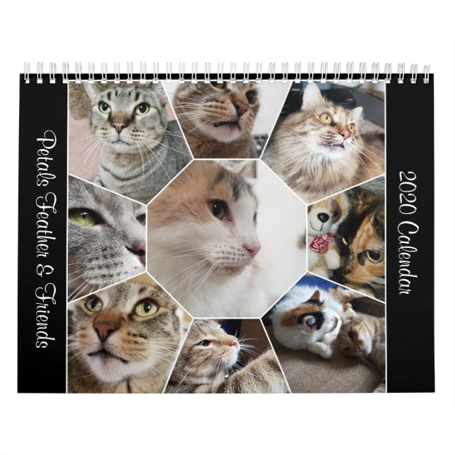 2020 Petals Feather & Friends Calendar (Cover)