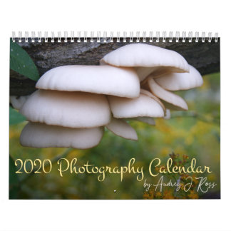 2020 Photography Calendar