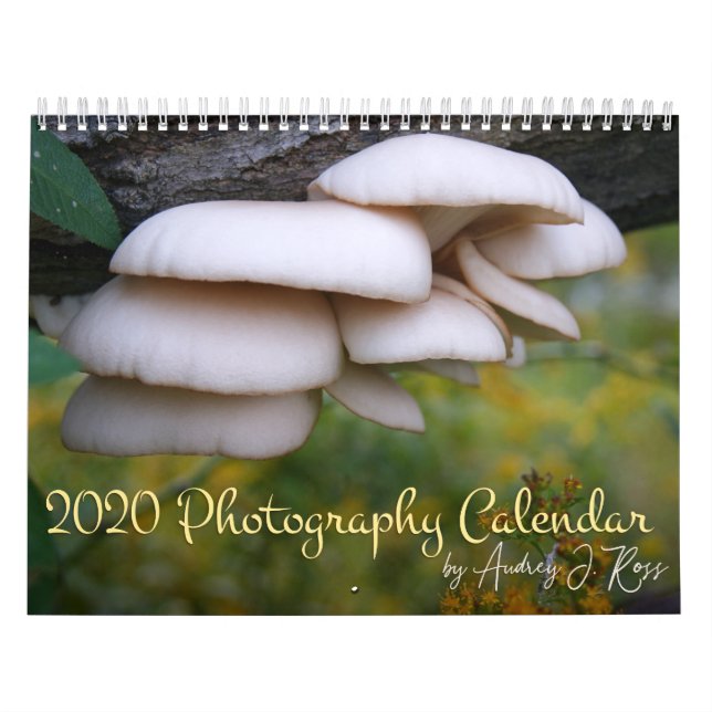 2020 Photography Calendar (Cover)