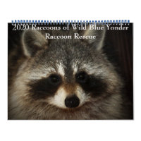2020 Raccoons of Wild Blue Yonder Racoon Rescue