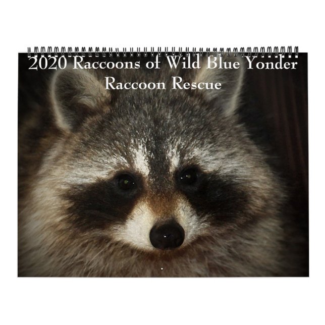 2020 Raccoons of Wild Blue Yonder Racoon Rescue Calendar (Cover)