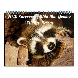 2020 Raccoons of Wild Blue Yonder Wildlife Rescue Calendar