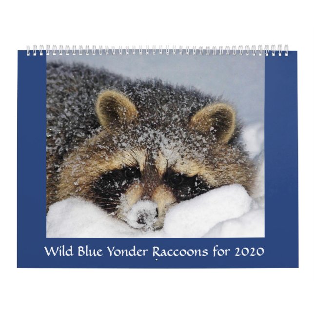 2020 Racoon Calendar from Wild Blue Yonder . (Cover)