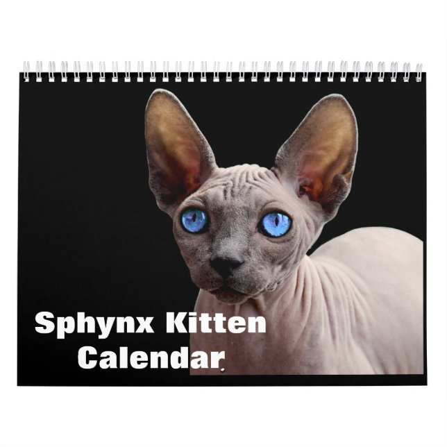 2020 Sphynx Kitten Calendar (Cover)