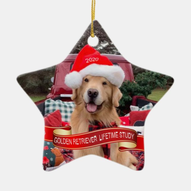 2020 Star Ceramic Ornament (Front)