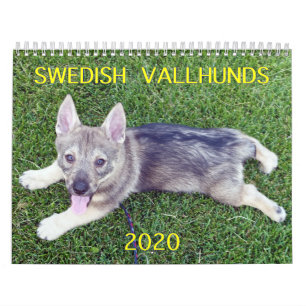 2020 SWEDISH VALLHUND CALLENDAR CALENDAR