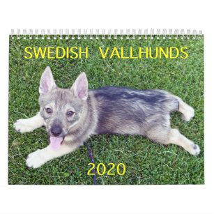 2020 SWEDISH  VALLHUND CALLENDAR CALENDAR