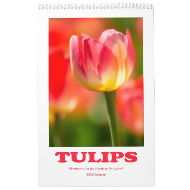 2020 Tulips Calendar (Cover)