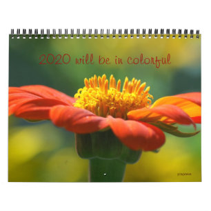 2020 will be in colourful calendar