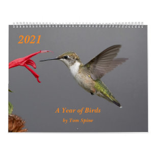 2021 ~ A Year of Birds Calendar
