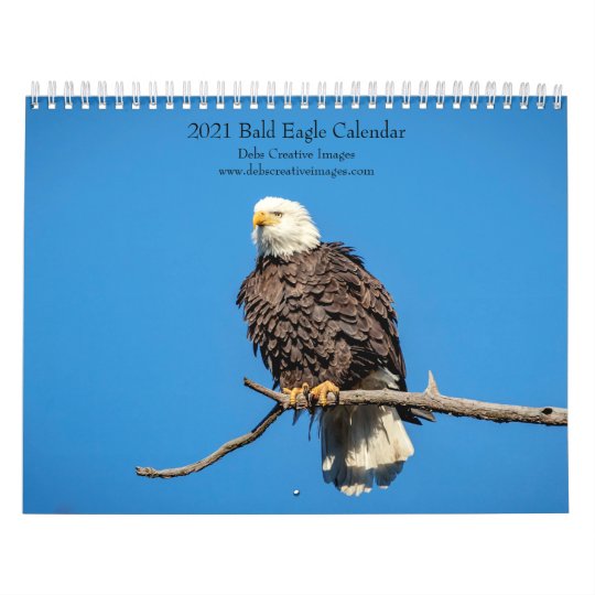 2021 Bald Eagle Calendar