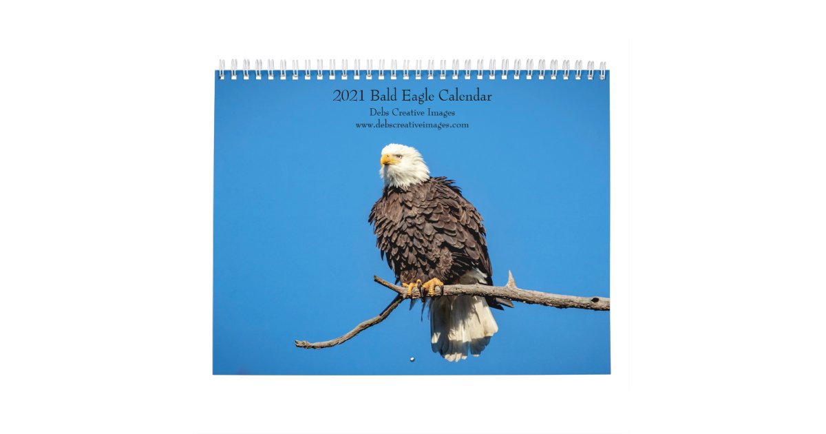 2021 Bald Eagle Calendar Zazzle au
